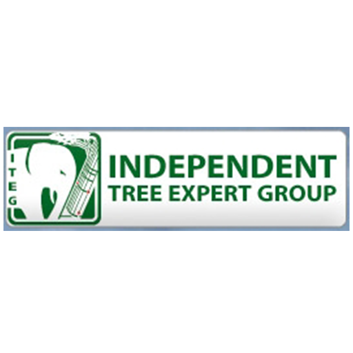 Independent Tree Expert Group