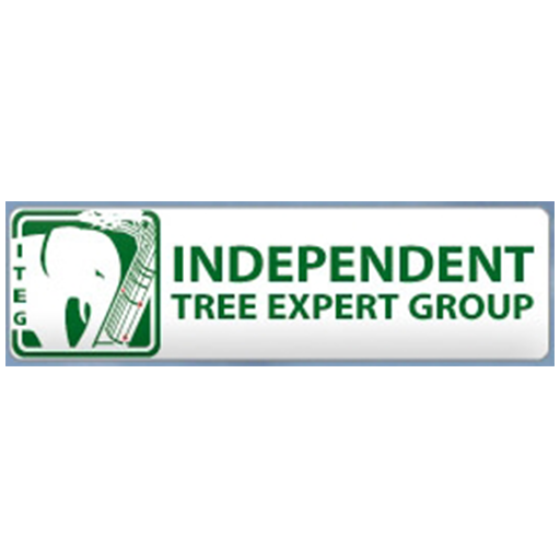 Independent Tree Expert Group Independent Tree Expert Group
