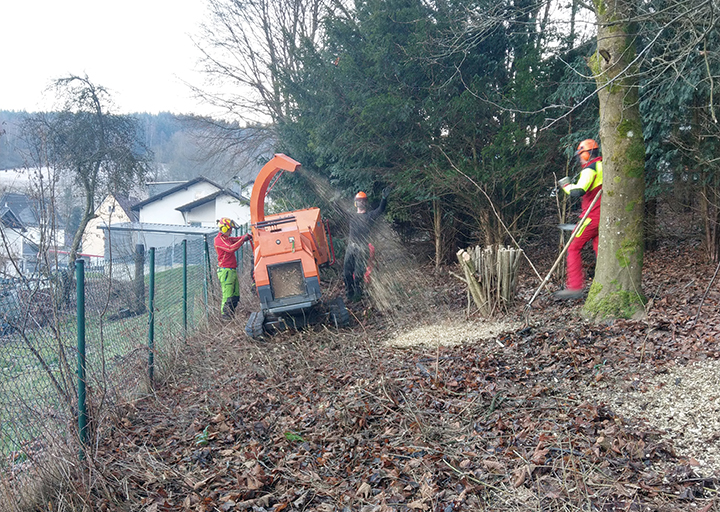 Holzreste werden gehäckselt