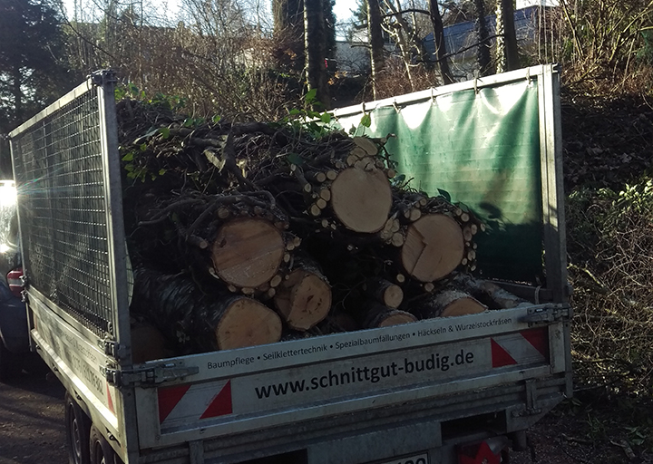 Abtransport