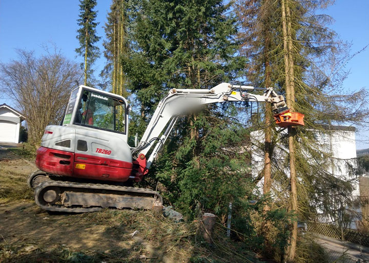 Baumfällung mit Bagger