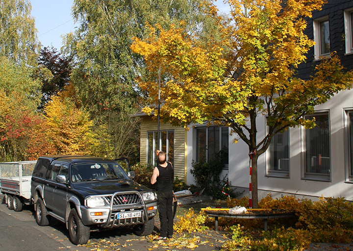Baum wird beschnitten
